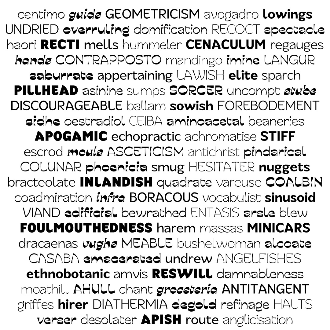 Series of words in alternating styles of the typeface family.
